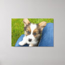 Suche nach königin von alles poster leinwandbilder Hund