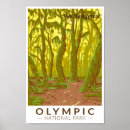 Suche nach rainforest poster Olympischer nationalpark