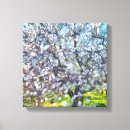 Suche nach blossom leinwandbilder Abteilung