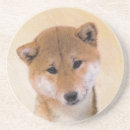 Suche nach shiba inu untersetzer Welpe