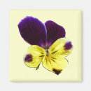 Suche nach johnny magnete Blume