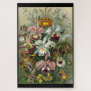 Suche nach haeckel puzzle Blume