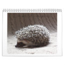 Suche nach igel kalender Tier