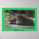 Suche nach thinker poster Orang