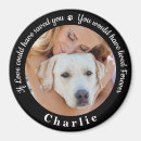 Suche nach hunde beileid magnete Haustierdenkmal