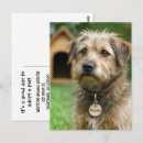 Suche nach adoptieren postkarten Für alle