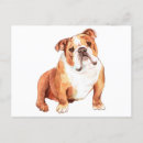 Suche nach wilder hund postkarten Niedlich