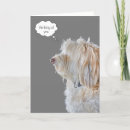 Suche nach shaggy karten Schüchtern