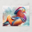 Suche nach mandarinenente postkarten Aquarell
