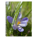 Suche nach krokus kleine notizbücher Quelle
