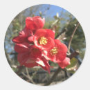 Suche nach frühlingsaufkleber Blumenaufkleber