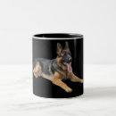 Suche nach schäferhunde tassen Gsd