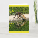 Suche nach calico cat karten Kitty