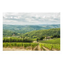 Suche nach chianti poster Landschaft