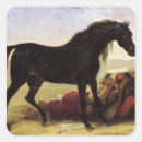 Suche nach arabisches pferd aufkleber Araber