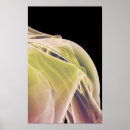 Suche nach body poster Medical