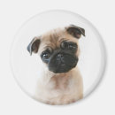 Suche nach sitzender hund magnete Niedlich
