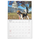 Suche nach jagdhund kalender Tiere