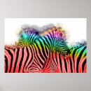 Suche nach buntes zebra poster Tier