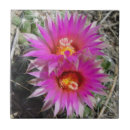 Suche nach kaktus blumen fliesen Jede person