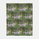 Suche nach schöner vogel decken Vögel