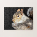 Suche nach nuss puzzle Eichhörnchen
