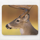 Suche nach bock mousepads Weißwedelhirsch
