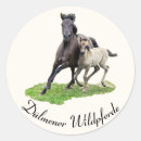 Suche nach lustiges pferd aufkleber Niedlich