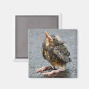 Suche nach robe magnete Tiere