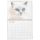 Suche nach zeichnung kalender Katzen