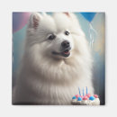Suche nach eskimohund Jede person