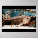 Suche nach museum poster Knochen