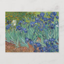 Suche nach gelbe iris postkarten Jede person