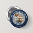 Suche nach cat buttons Familie
