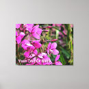 Suche nach hummel poster leinwandbilder Tierwelt