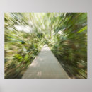 Suche nach rainforest poster South america