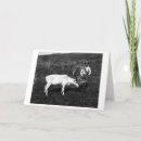 Suche nach eskimo karten Fotografie