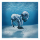 Suche nach seacow Seekuh