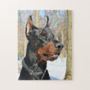Suche nach pinscher puzzle Tiere