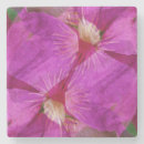 Suche nach clematis untersetzer Abstrakt