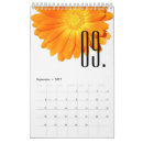 Suche nach bunten kalender Blumen