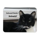 Suche nach schwarzer schnurrbart magnete Katze