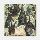 Suche nach fledermaus magnete Vintage