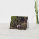 Suche nach teiche karten Fotografie