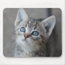 Suche nach niedliches kätzchen mousepads Katze