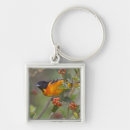 Suche nach lebensraum schlüsselanhänger Fütternd