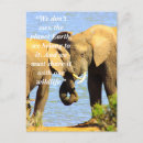 Suche nach elefant liebe postkarten Afrika