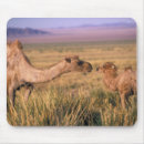 Suche nach ungewöhnlich mousepads Natur