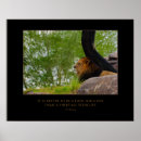 Suche nach afrikanischer lowe poster Katze