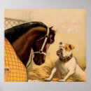 Suche nach bulldogge poster Für alle